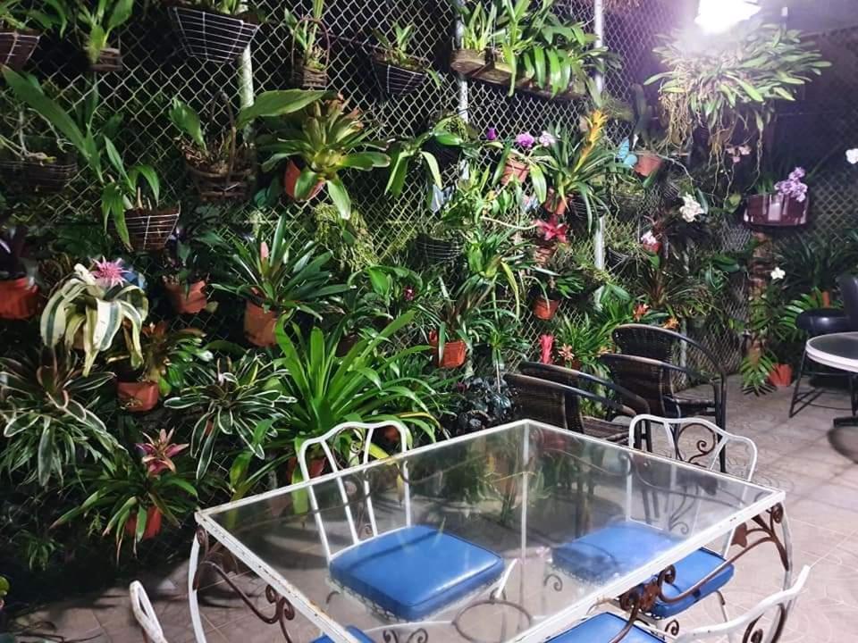 Villa San Antonio - El Valle De Anton Extérieur photo